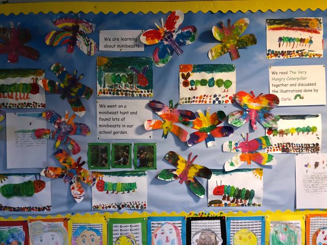 Minibeast Art – Presentation Primary School Waterford